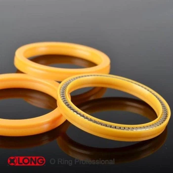 Segel PTFE LNG -196 Spring Energized