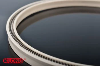 PTFE Spring Berenergi Segel Mekanik