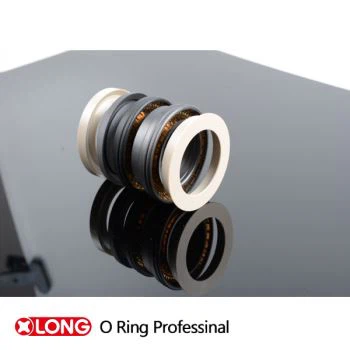Segel Radial Engergized Musim Semi