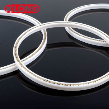 Segel Berenergi Pegas PTFE Kustom
