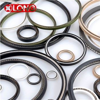 PTFE Spring Energized Pump Lip Seal Berkualitas Baik
