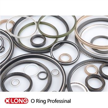Spring Energized Teflon Rotary Rod Seals