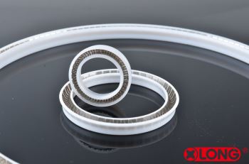 Teflon Spring Berenergi Rotary Shaft Seal