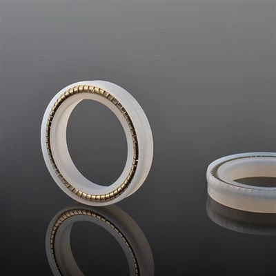PTFE Segel Berenergi Pegas